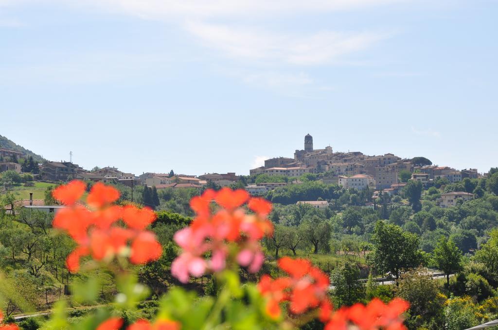 B&B La Palombara Giuliano di Roma Екстер'єр фото